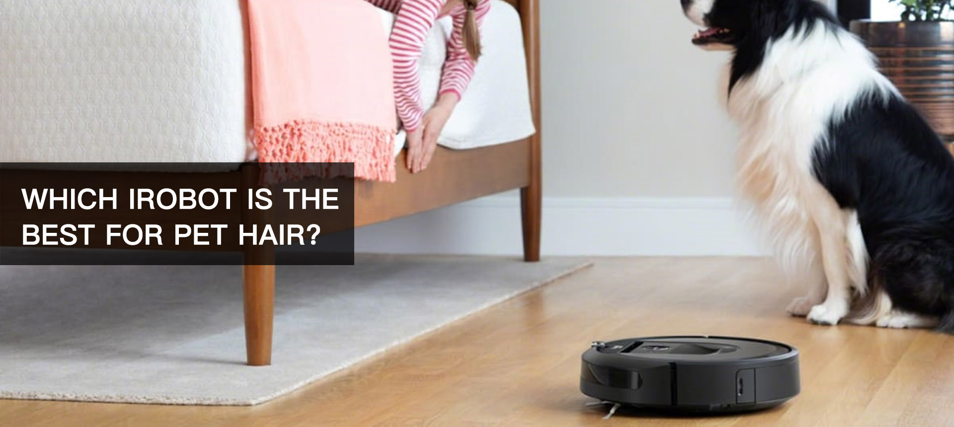 Which iRobot is the Best for Pet Hair